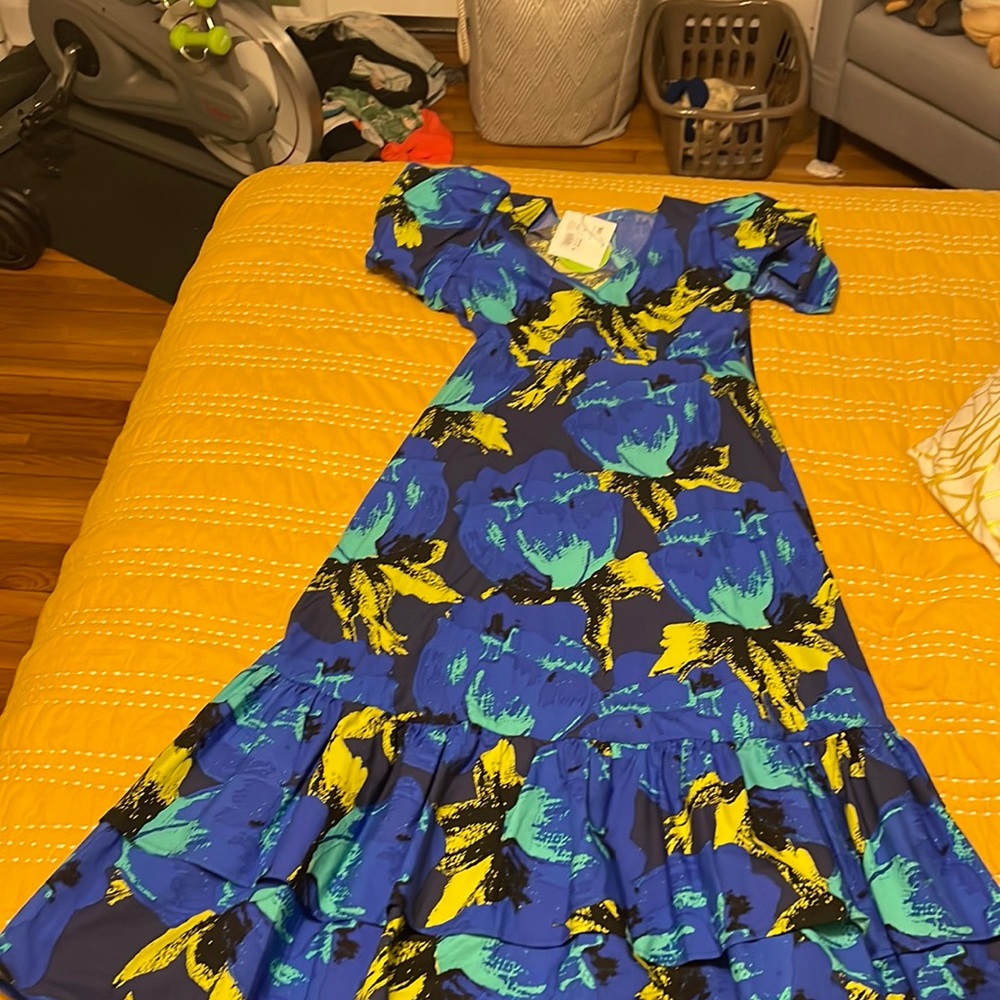 Sz 12 Christopher John Rogers X Target watercolor maxi dress